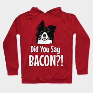 Fun Dog Did You Say Bacon? Hoodie